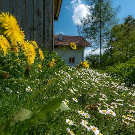 Ferienhaus Schlierachtal Miesbach Bagian luar foto